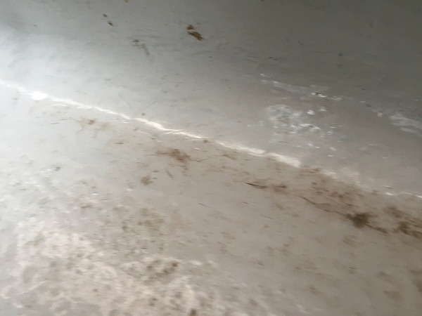 防水工事も承ってます